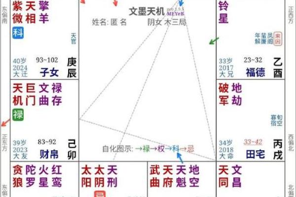 2025年4月16日戌时男命紫微斗数全解盘 2025年4月16日戌时男命紫微斗数全解盘
