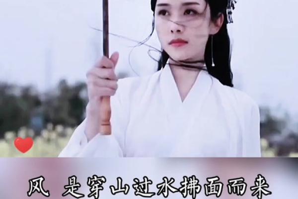 “三分文雅风花月”是代表哪个生肖，三分文雅风花月代表什么动物答案解释释义落实