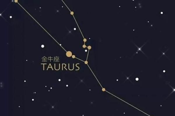 金牛座女和处女座男