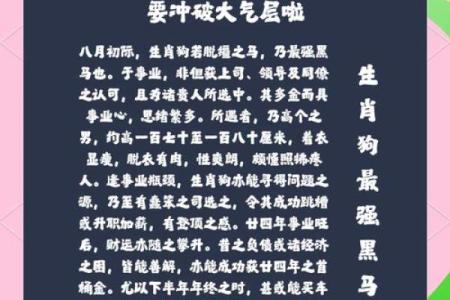 2024年生肖属狗的运势 2024年生肖属狗运势详解财运事业爱情全解析