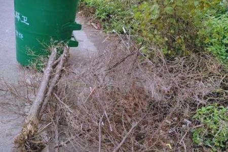 26号可以动土吗