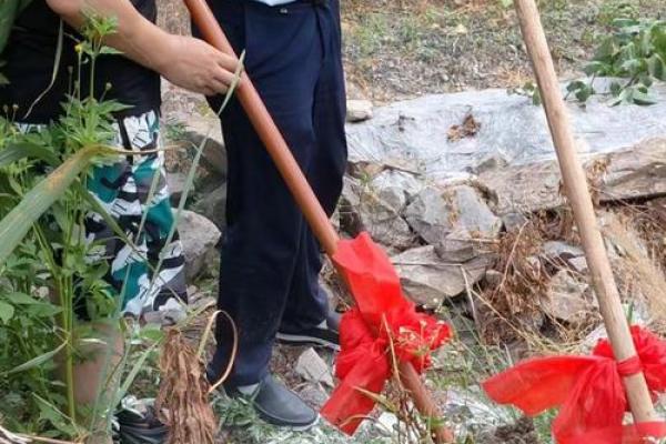 今天动土怎么样