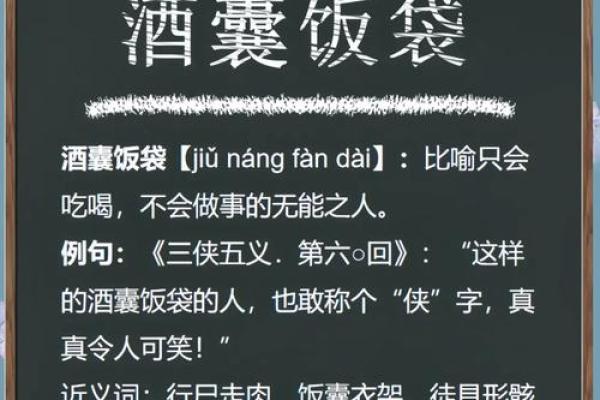 “酒囊饭袋”打一动物生肖，酒囊饭袋是什么生肖答案解释释义落实