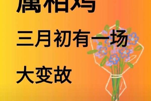 如日中天什么生肖(如日中天的是什么生肖)