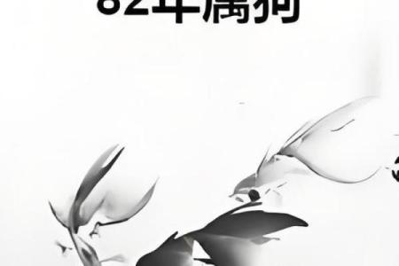 82年属狗人2025年运势完整版_2025年属狗运势及运程1994年生人