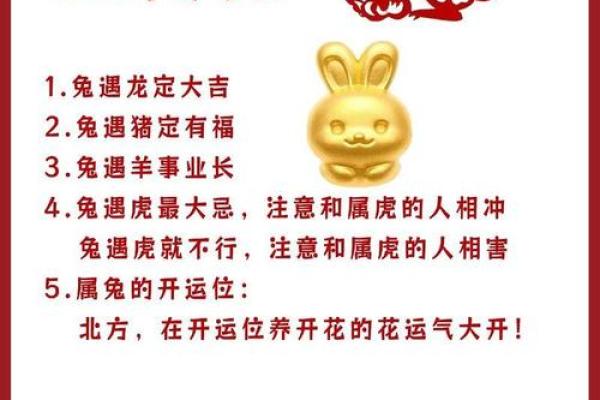 “过江名士多如鲗”打一生肖是什么，过江名士多如鲗指什么生肖答案解释释义落实