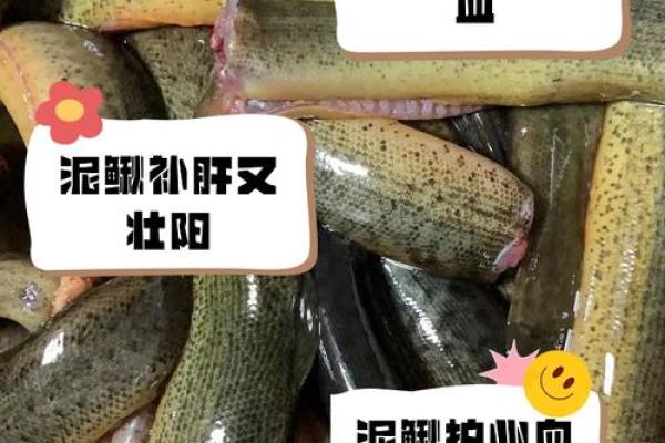 女人梦到泥鳅鱼是什么征兆