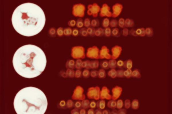 2025年属马2月份运势_属马2025年运势及运程详解每月