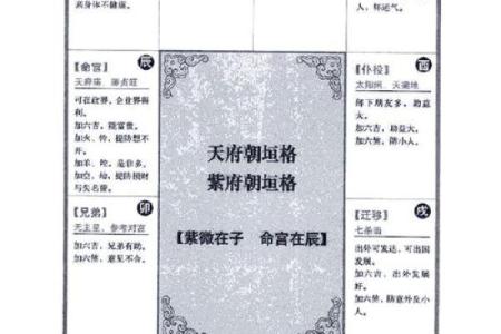 2025年4月27日子时男命紫微斗数全解盘