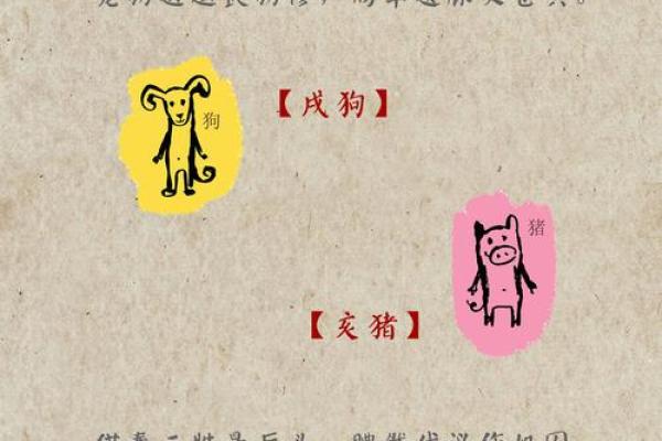 倚马千言打一最佳生肖(倚马千言什么生肖) 倚马千言打一最佳生肖(倚马千言什么生肖)