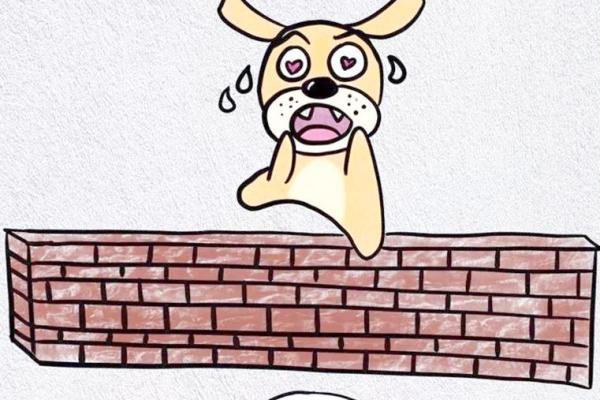 兔死狗烹打一个生肖(兔死狗烹打一最佳答案) 兔死狗烹打一个生肖(兔死狗烹打一最佳答案)