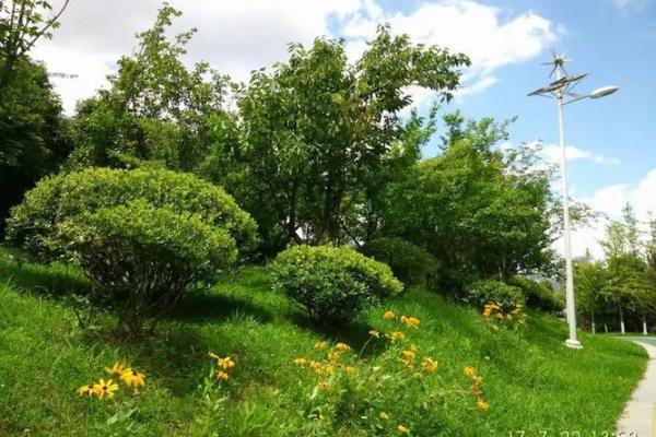 “烈日当空”打一个生肖动物,烈日当空打一准确生肖答案解释释义落实 “烈日当空”打一个生肖动物,烈日当空打一准确生肖答案解释释义落实