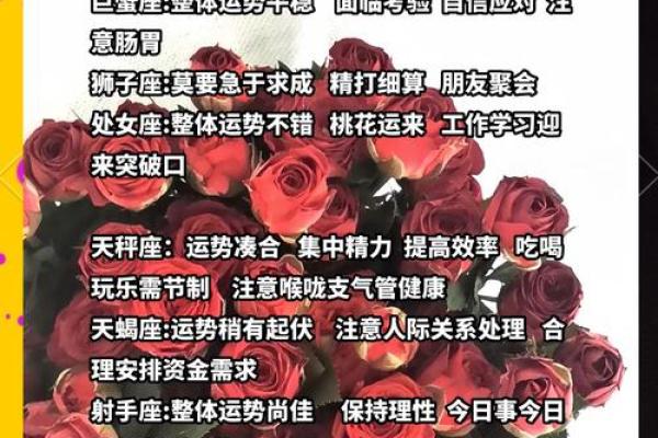 运势星座_运势测算