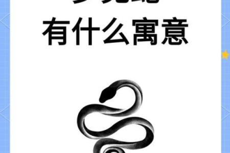 梦见满屋子都是蛇