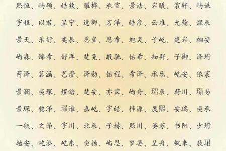 2019年3月26号辰时出生的男孩要怎么起名字姓名