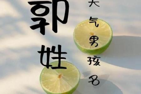 2019年出生的姓郭男孩如何起名，宜用什么字姓名