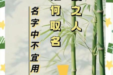 要怎么给中午12点出生的属鼠男孩起名最好姓名