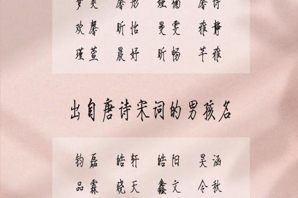 2019年3月21号丑时出生的男孩起名时要注意什么姓名