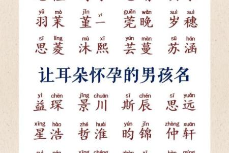 2019年3月27号丑时出生的男孩起名方法姓名