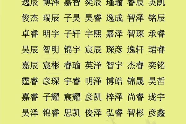 2019年5月19号丑时出生的男孩起名时要注意什么姓名