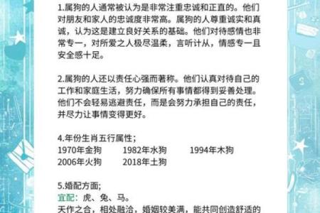 九月份出生的属狗男孩应该如何取名字姓名