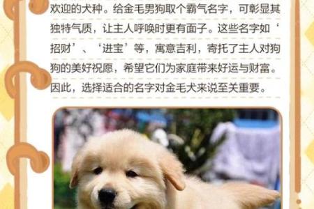 下午三点出生的属狗男孩如何取名，宜用什么字姓名