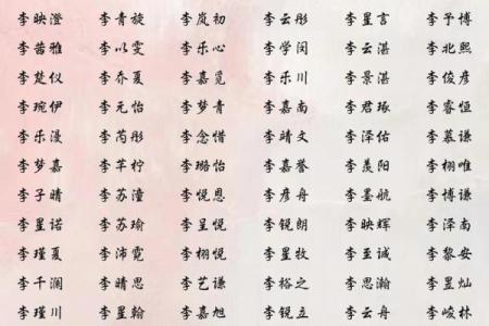 李姓男孩名字大全-李姓男孩起名字大全-李姓名字大全姓名