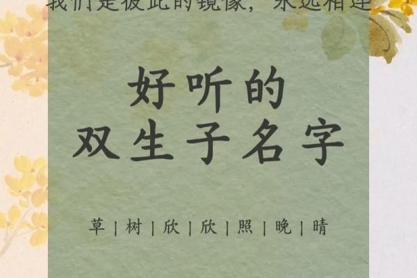 双胞胎男孩的名字和方法都有哪些-姓名学-华易网姓名