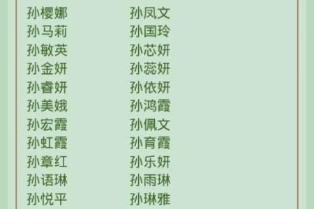 孙姓男孩名字大全-孙姓男孩起名字大全-孙姓名字大全姓名