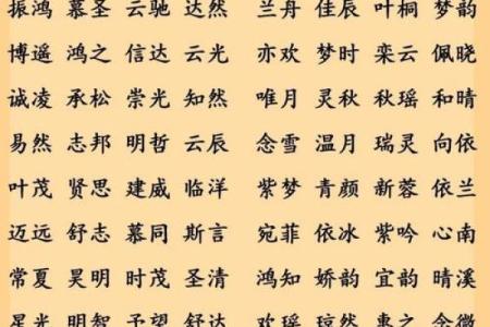 半夜出生的属鼠男孩起名用什么字最好姓名