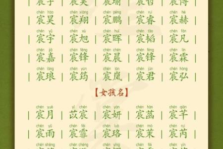 2019年处暑出生五行缺火的女宝宝起名宜用什么字？姓名
