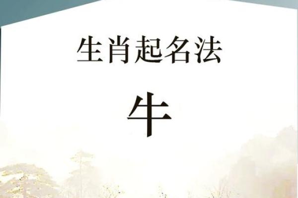 给晚上9点出生的属牛男孩取名字适合用什么字姓名