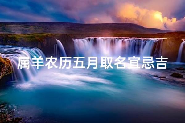 上午11点出生的属羊男孩如何起名，宜用什么字姓名