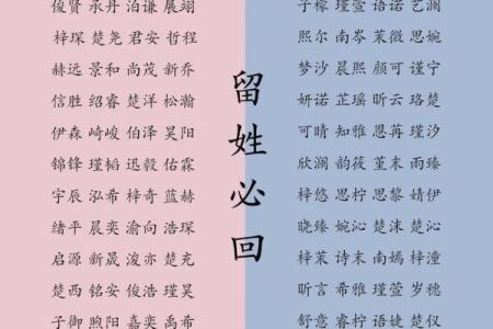 2019年6月9号卯时出生的男孩如何起名姓名