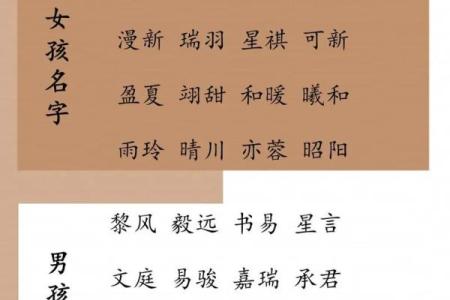 2019年4月22号寅时出生的男孩起名方法姓名