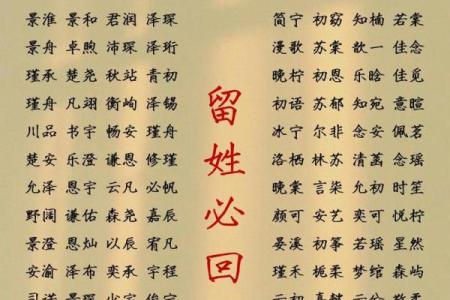 2019年3月14号丑时出生的男孩应该起什么样的名字姓名