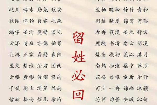 半夜出生的属羊男孩起什么名，用什么字好姓名