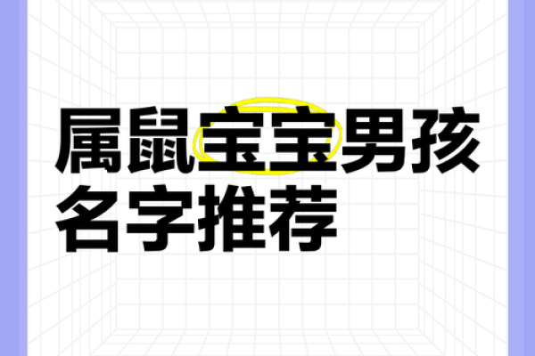 晚上9点出生的属鼠男孩好名推荐姓名