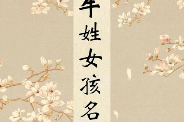 属牛酉时出生的男孩的取名技巧姓名