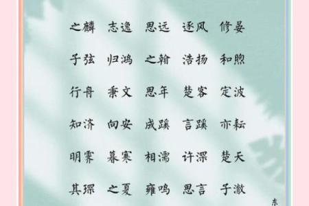 2019年3月25号卯时出生的男孩起名方法姓名