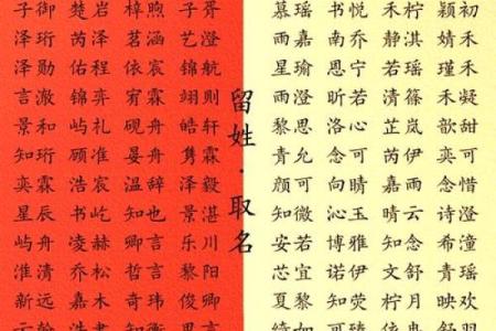 苗姓男孩名字大全-苗姓男孩起名字大全-苗姓名字大全姓名