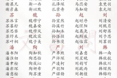 2019年6月17号子时出生的男孩起名时要注意什么姓名