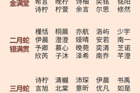 如何给属蛇酉时出生的男孩起名，适合什么字姓名