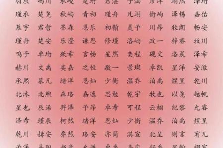 2019年4月5号卯时出生的男孩起名时要注意什么姓名