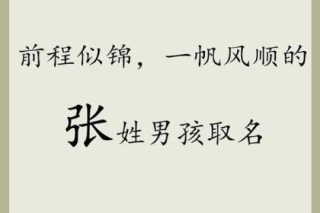 2019年6月15号子时出生的男孩要怎么起名字姓名