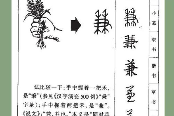 带金字旁的男孩名字-名字大全-姓名学-华易算命网姓名
