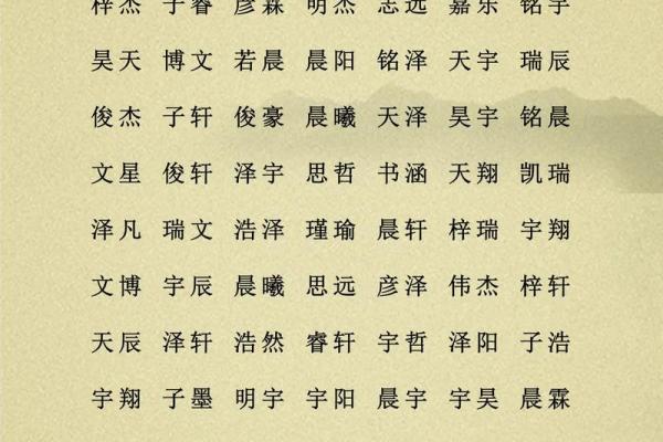 2019年3月26号巳时出生的男孩要怎么起名字姓名