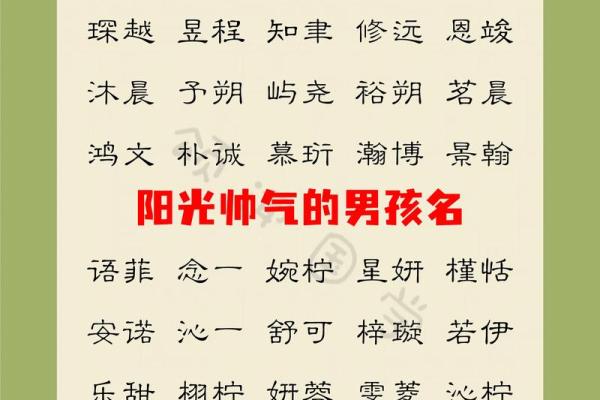 2019年3月19号丑时出生的男孩应该起什么样的名字姓名