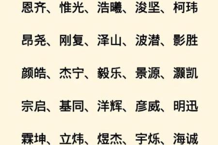 2019年6月6号寅时出生的男孩起名方法姓名