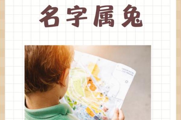 4月份出生的属兔男孩怎样取名字好姓名 4月份出生的属兔男孩怎样取名字好姓名